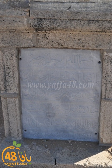 WhatsApp Image 2022-05-25 at 1.01.44 PM.jpg